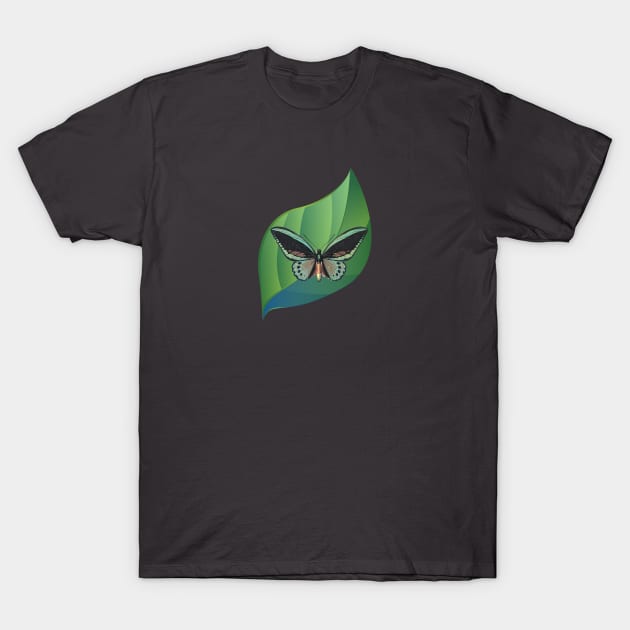 Butterfly on leaf T-Shirt by MissMorty2